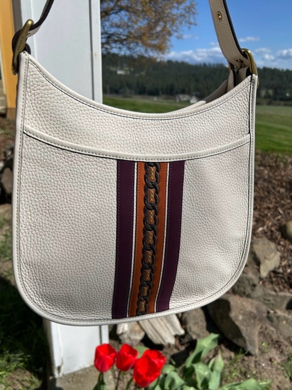 COACH 1941 Emery Varsity Stripe Glovetanned Pebble Leather Crossbody in Chalk - Picture 2 of 13